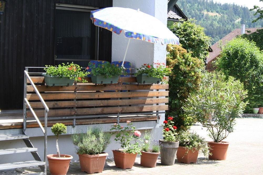 Donauer Im Altmuehltal - Ferienwohnungen Biberbach  Dış mekan fotoğraf