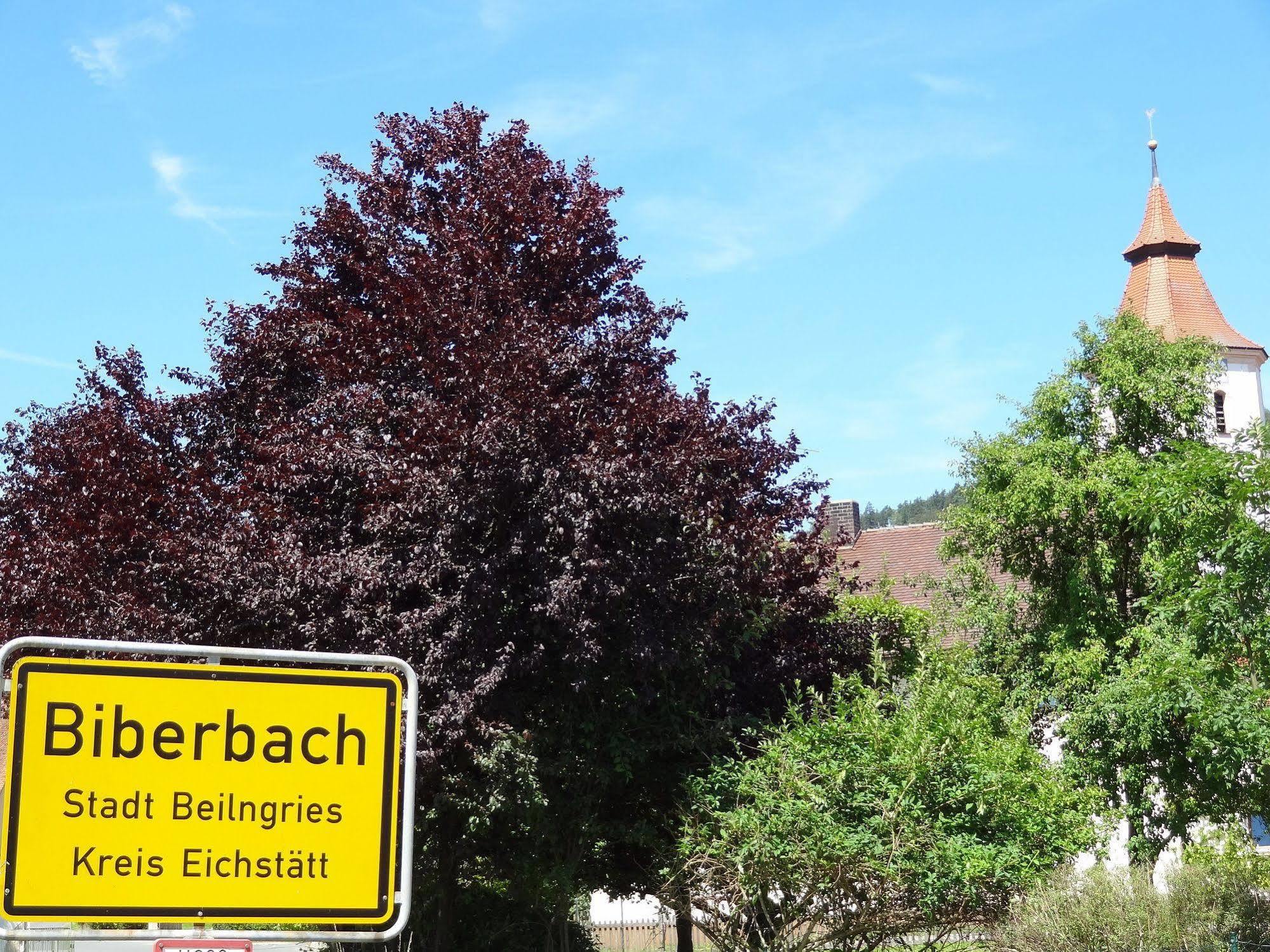 Donauer Im Altmuehltal - Ferienwohnungen Biberbach  Dış mekan fotoğraf
